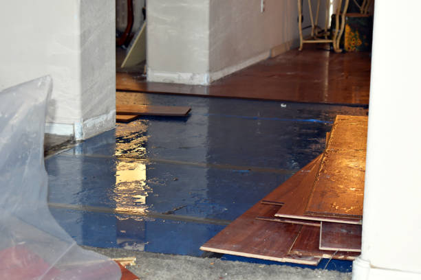 Professional Burst Pipe Cleanup technician working in Tie Siding, WY